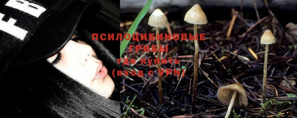 мяу мяу мука Аркадак